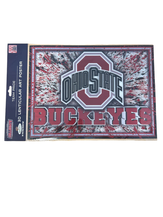 The Ohio State Buckeyes 12"x16" Unframed 3D Art Splatter Print